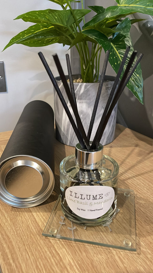 Diffusers 100ml in tubular box